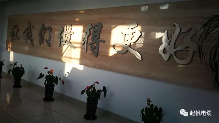 第六届金山区区长质量奖公布，百亿游戏(中国区)官方网站入口电缆周供华榜上有名