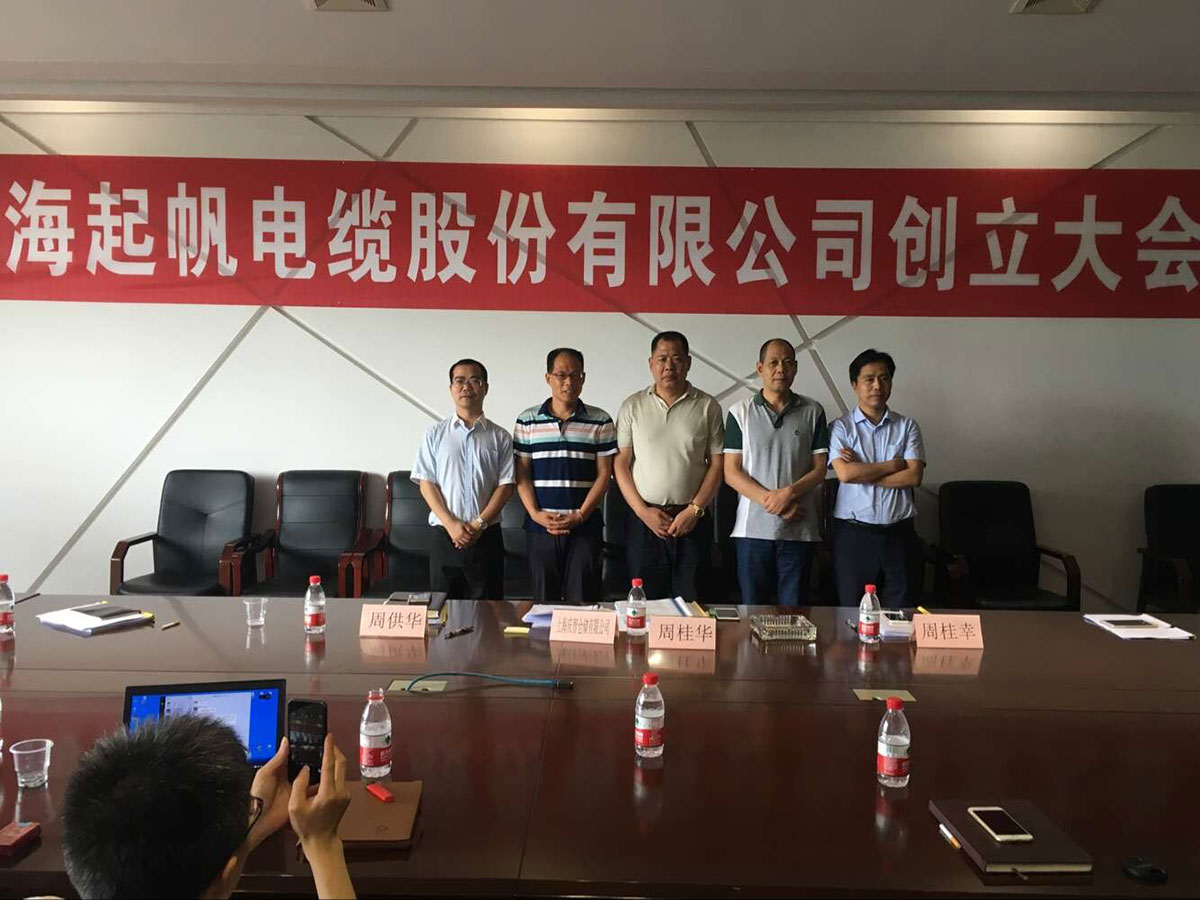 百亿游戏电缆股份有限公司第一次股东大会