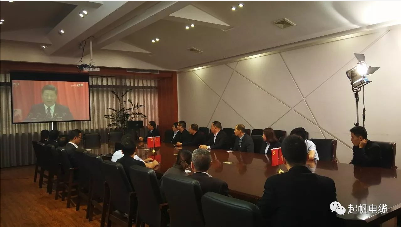 百亿游戏电缆股东和党员一起观看党的十九大开幕式